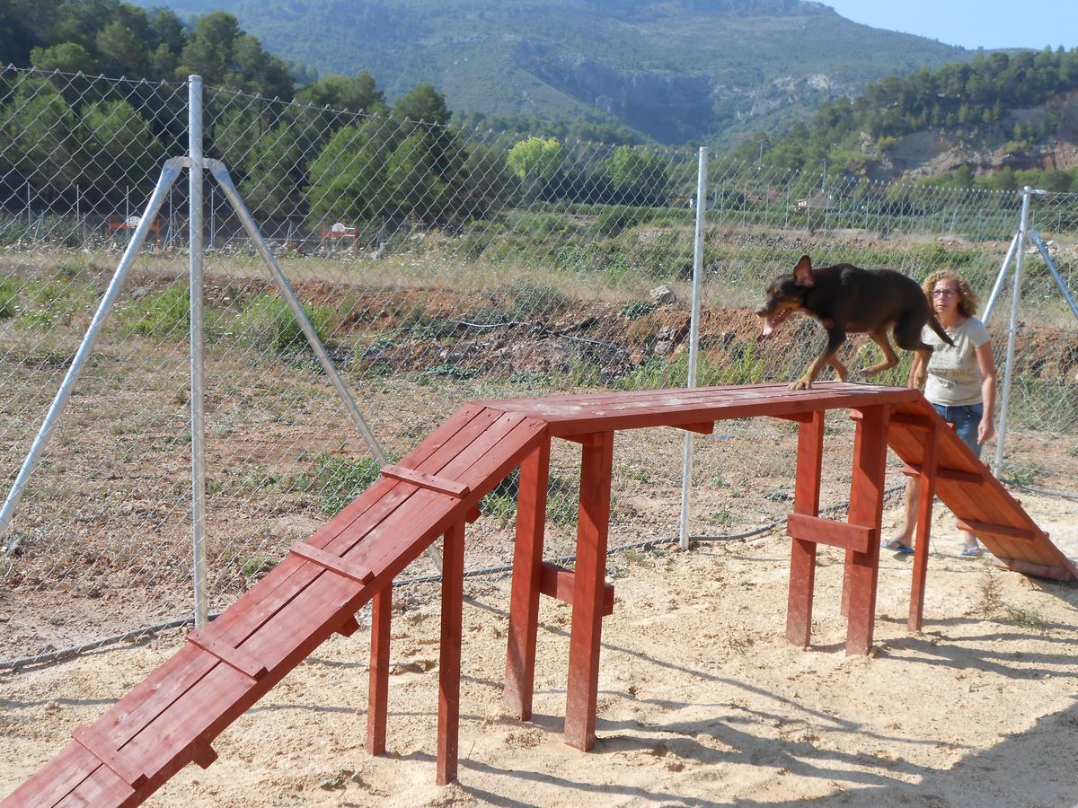 Oasis Country Park Hotel Rugat Kültér fotó