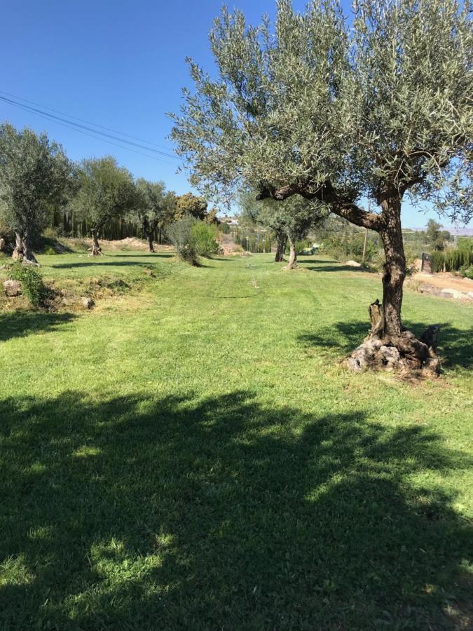 Oasis Country Park Hotel Rugat Kültér fotó